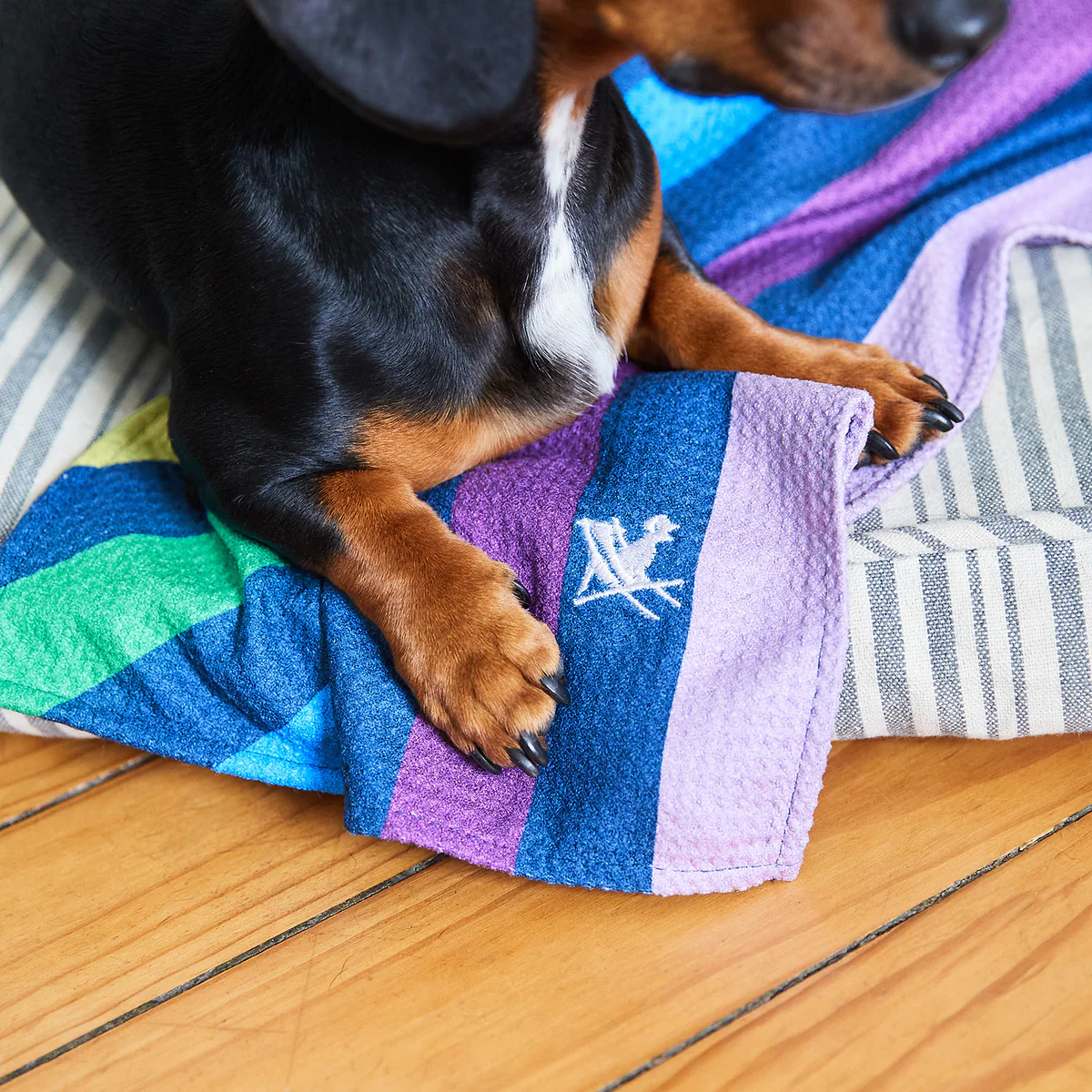 Gift Card for Persons Best Friend (Dogs & Pets) - Image 3