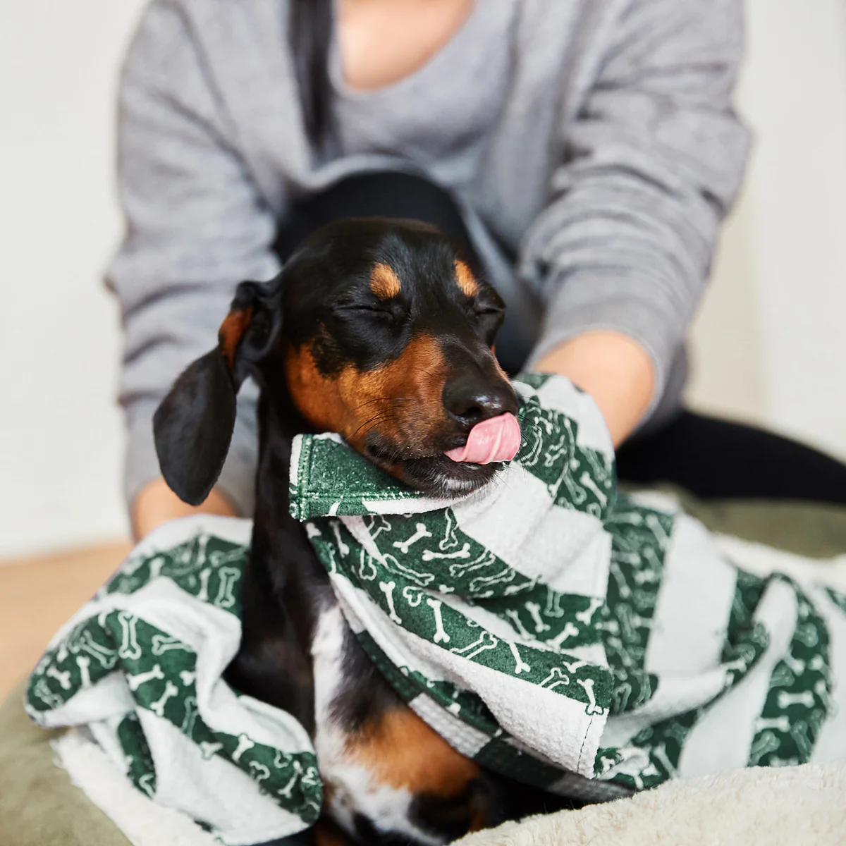 Gift Card for Persons Best Friend (Dogs & Pets) - Image 4