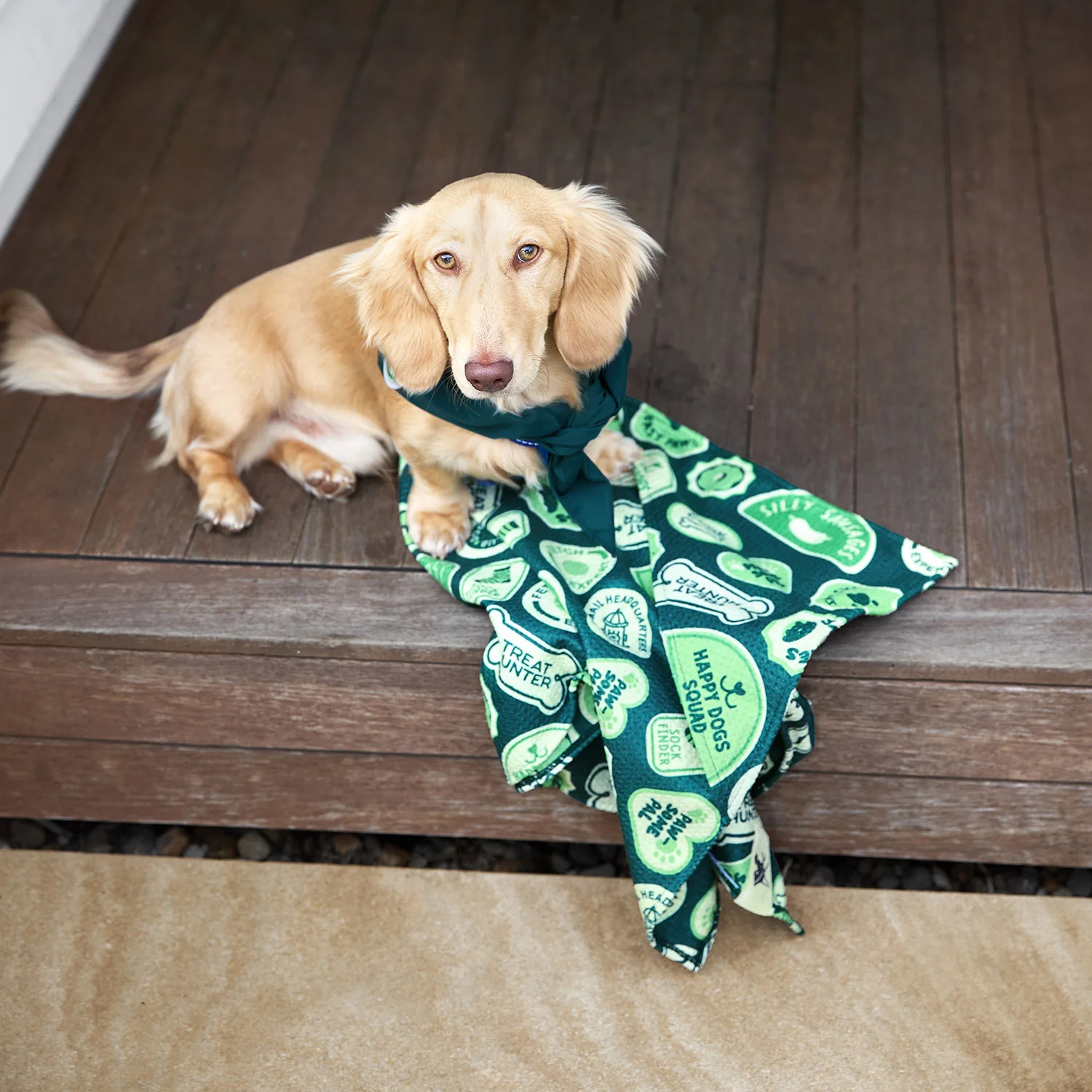 Dock & Bay Dog Towel - Dog & Bay Club - Image 11