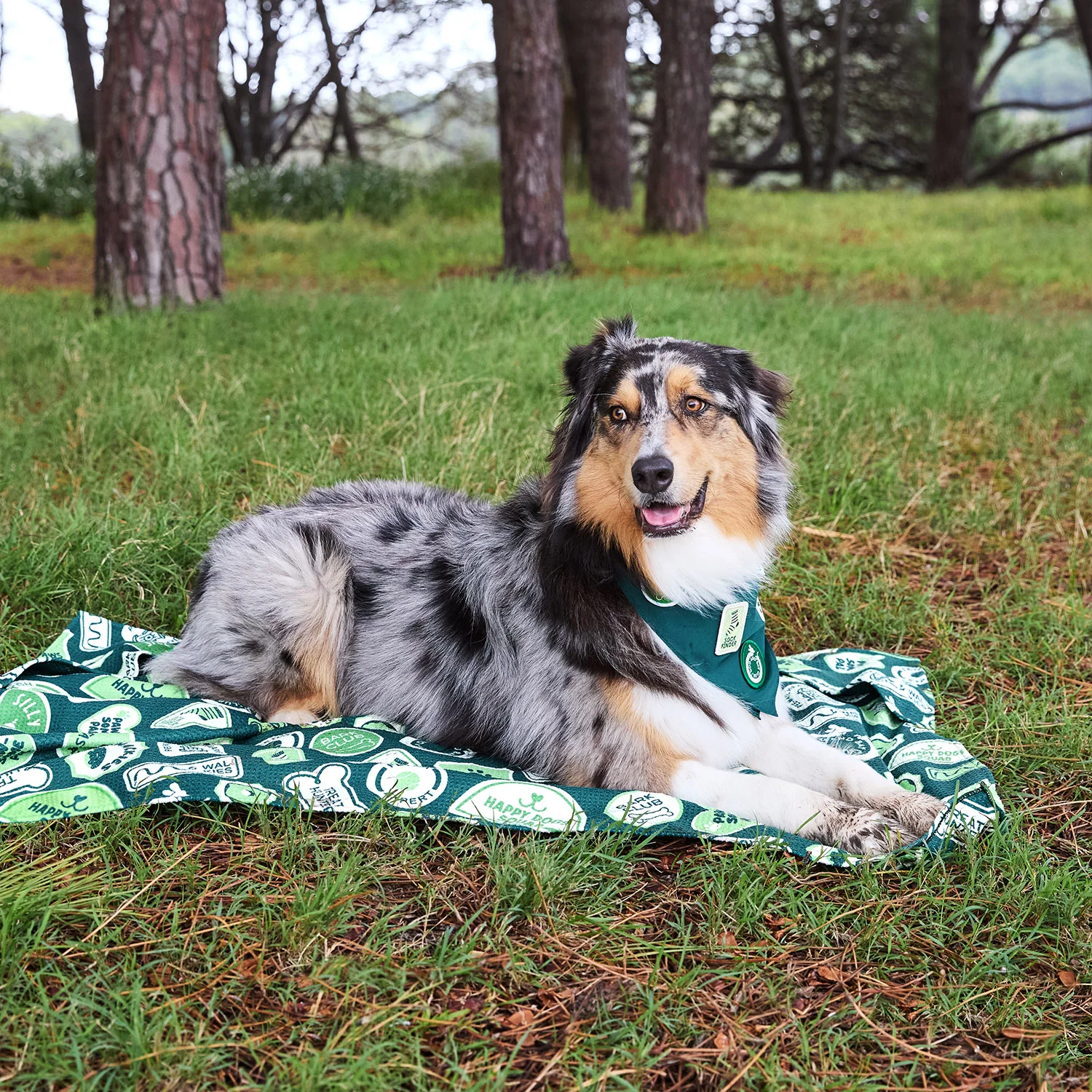 Dock & Bay Dog Towel - Dog & Bay Club - Image 12