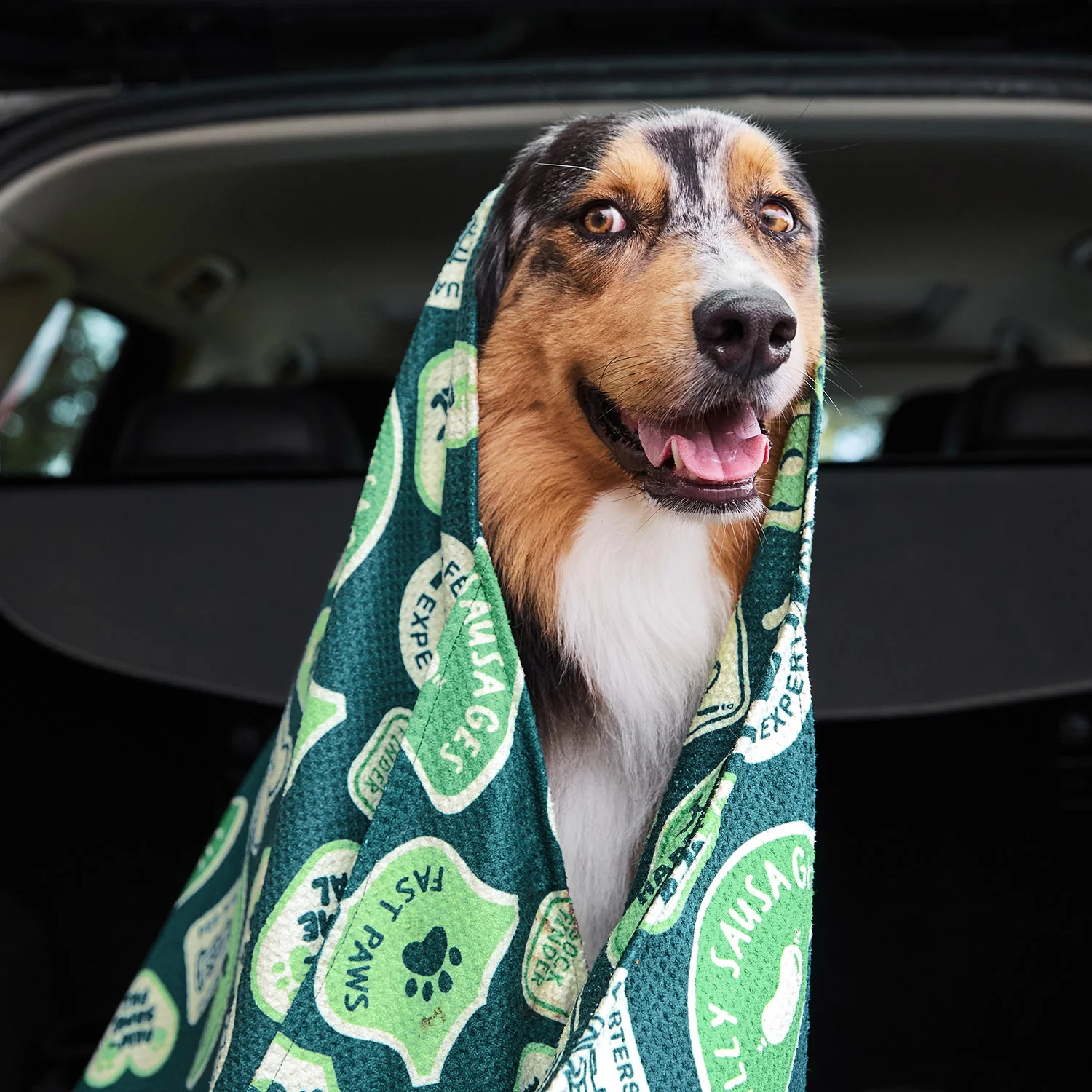 Dock & Bay Dog Towel - Dog & Bay Club - Image 13