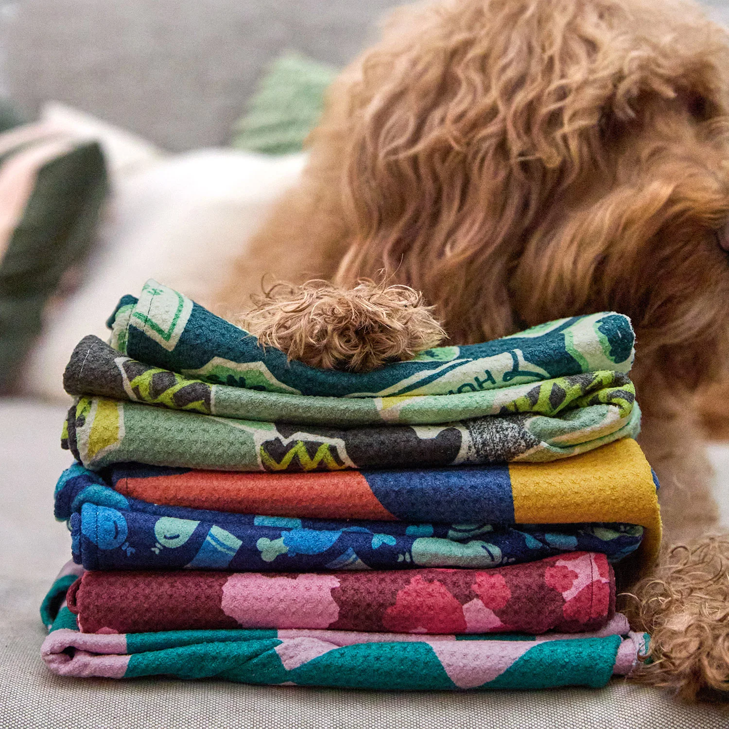 Dock & Bay Dog Towel - Dog & Bay Club - Image 9