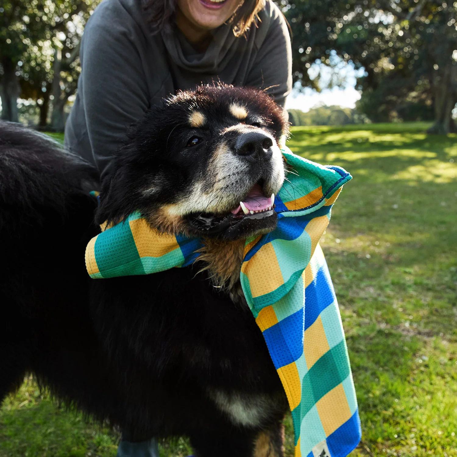 Dock & Bay Dog Towels - Forest Walkies (Set of 4) - Image 2