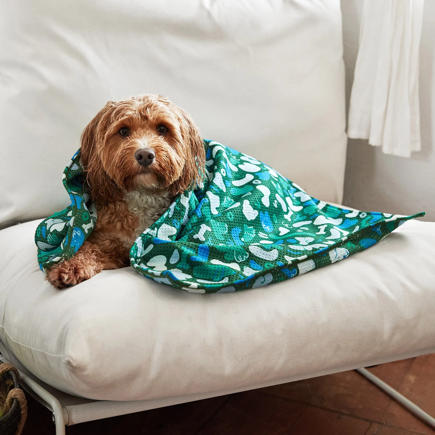 Dock & Bay Dog Towels - Forest Walkies (Set of 4) - Image 9