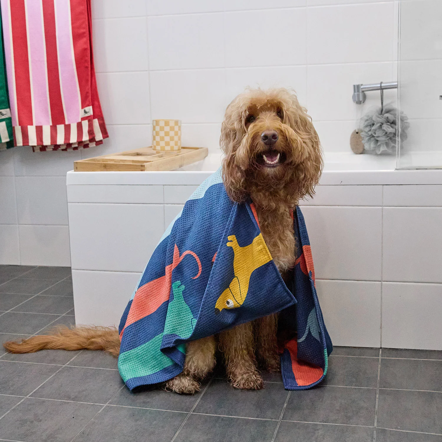 Dock & Bay Dog Towel - Go Long - Image 8