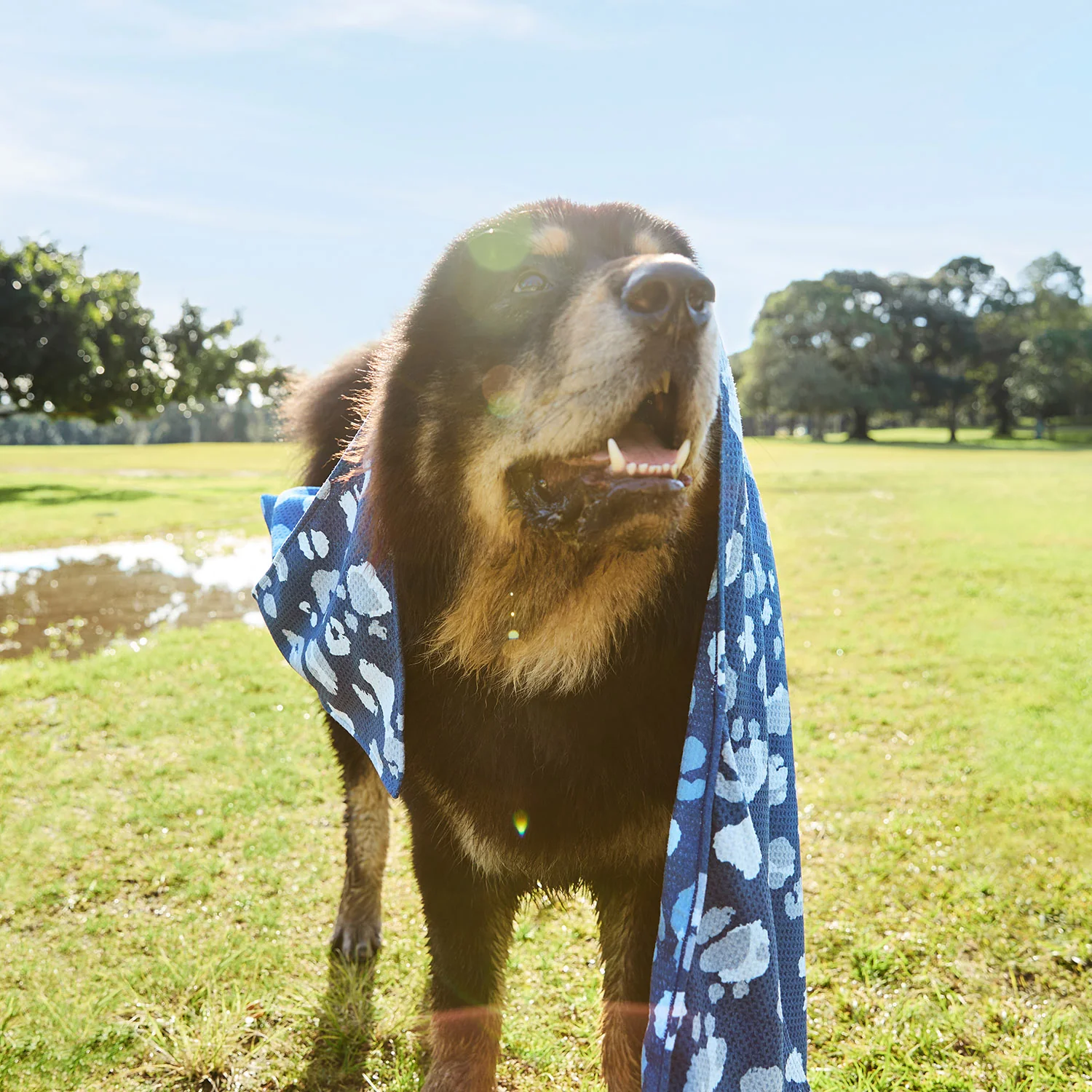 Dock & Bay Dog Towel - K9 Camo - Image 9