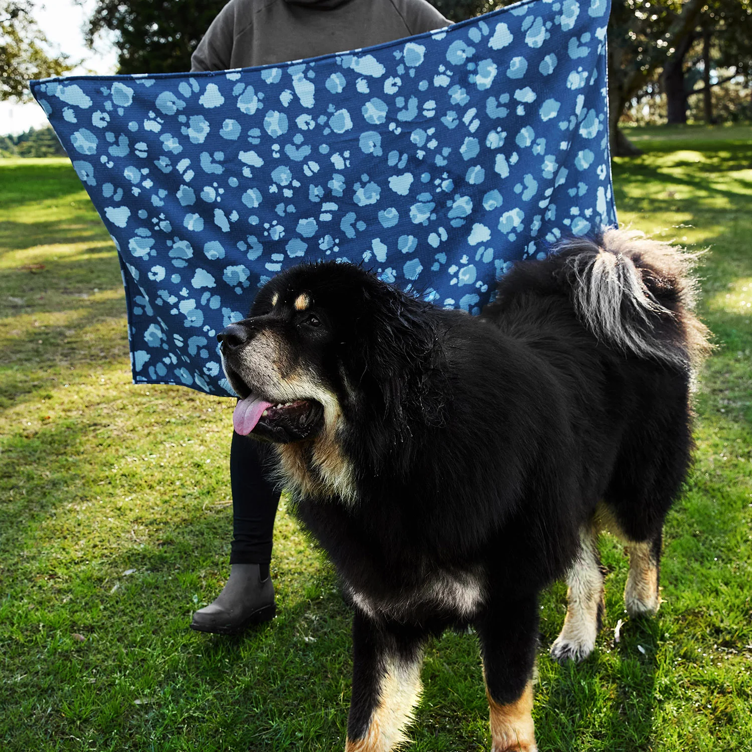 Dock & Bay Dog Towels - Mismatched Mutts (Set of 4) - Image 8