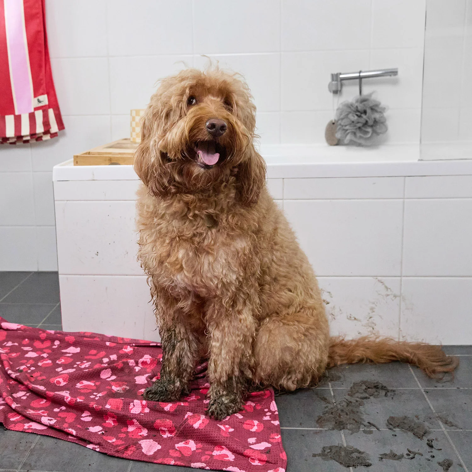 Dock & Bay Dog Towel - Pink Paws - Image 6