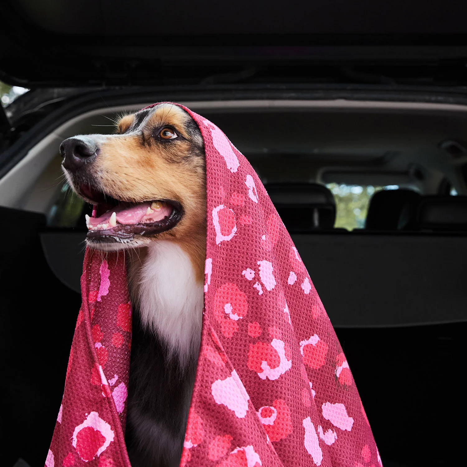Dock & Bay Dog Towel - Pink Paws - Image 9