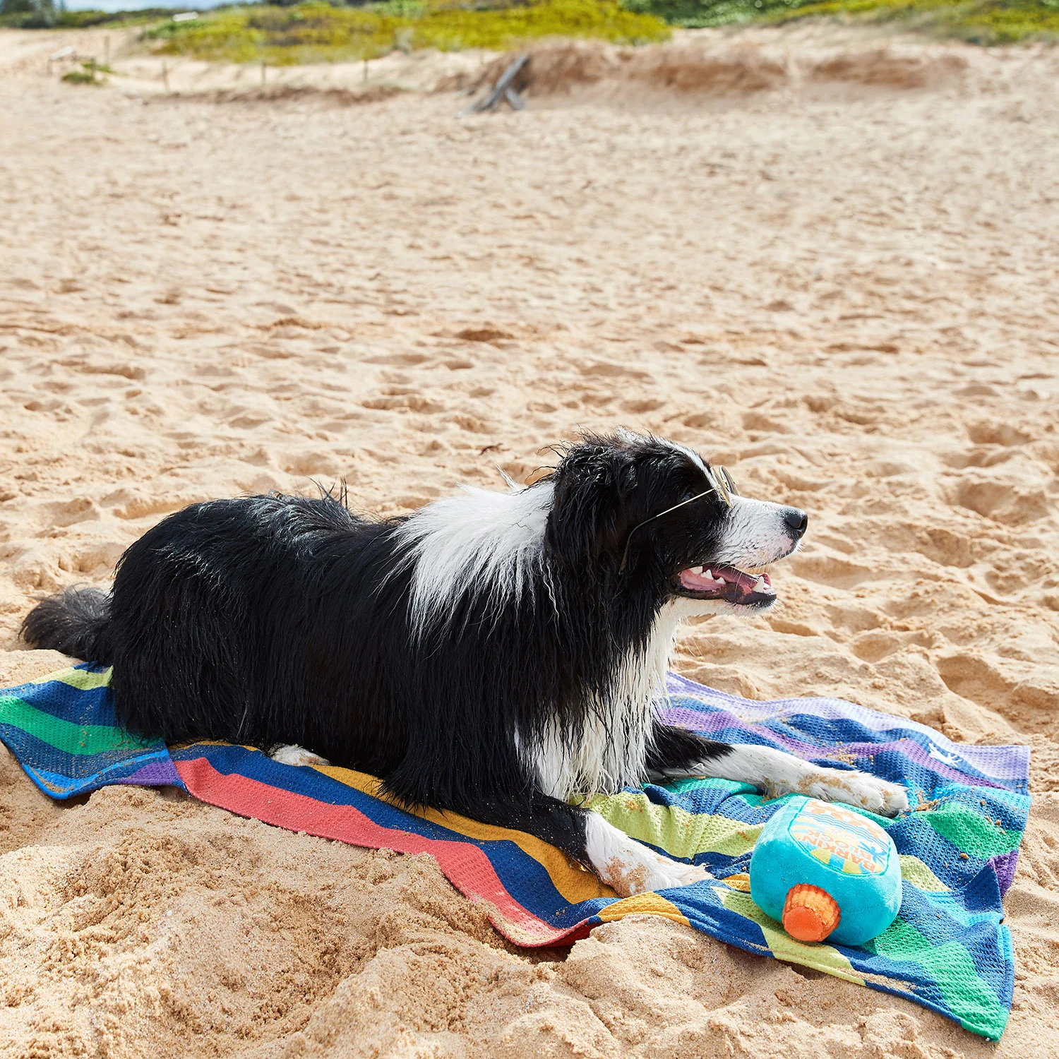 Dog & Bay - Towels for Pets - Pups with Pride - Image 10