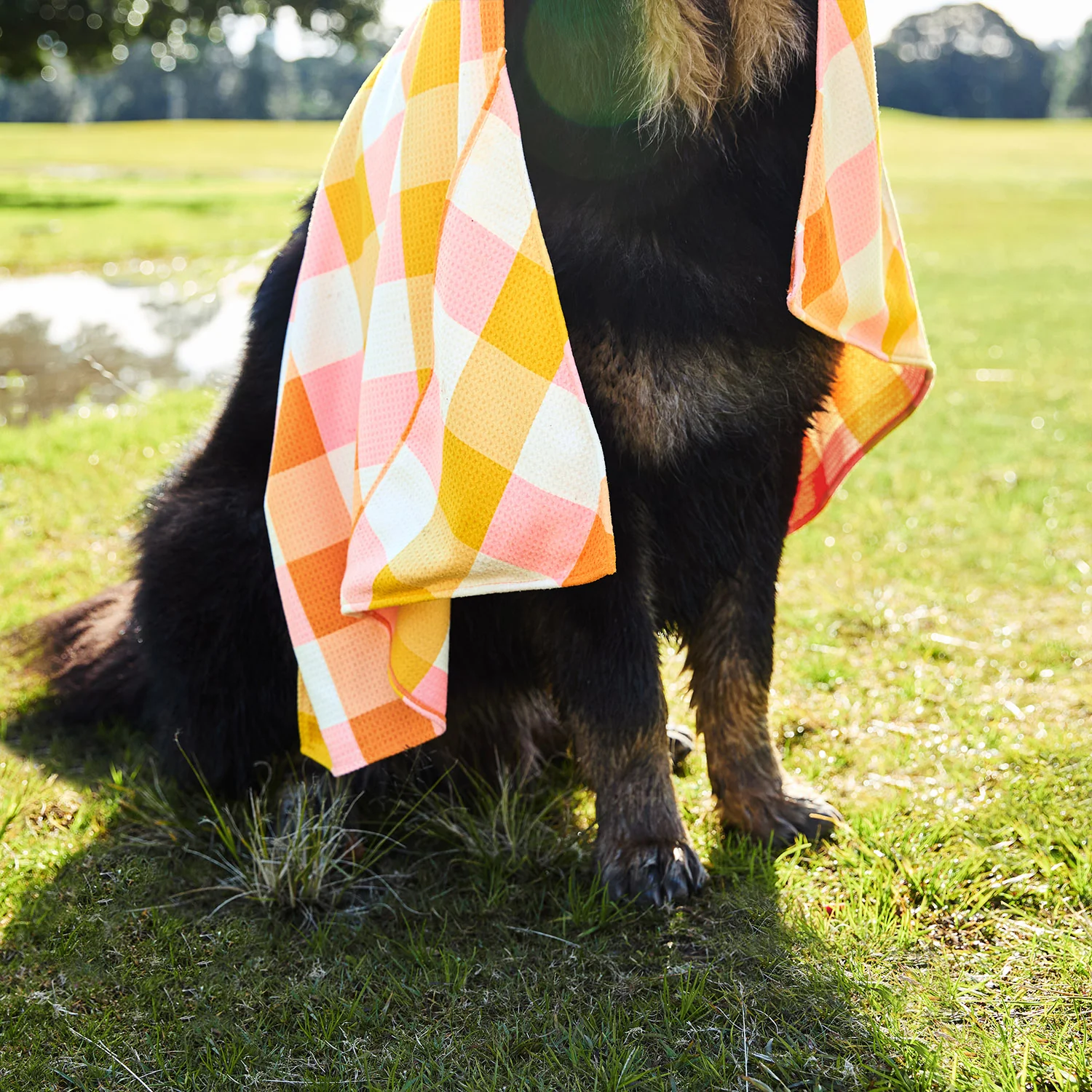 Dock & Bay Dog Towel - Rhubark & Custard - Image 5