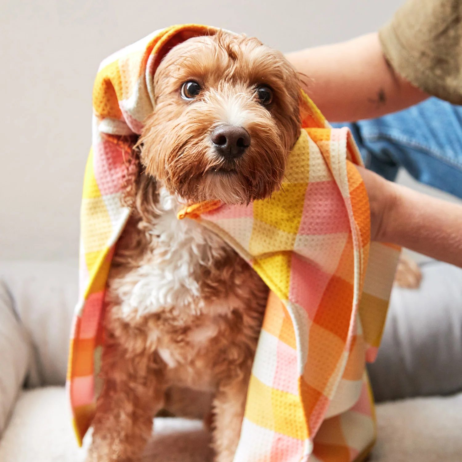 Dock & Bay Dog Towel - Rhubark & Custard - Image 6