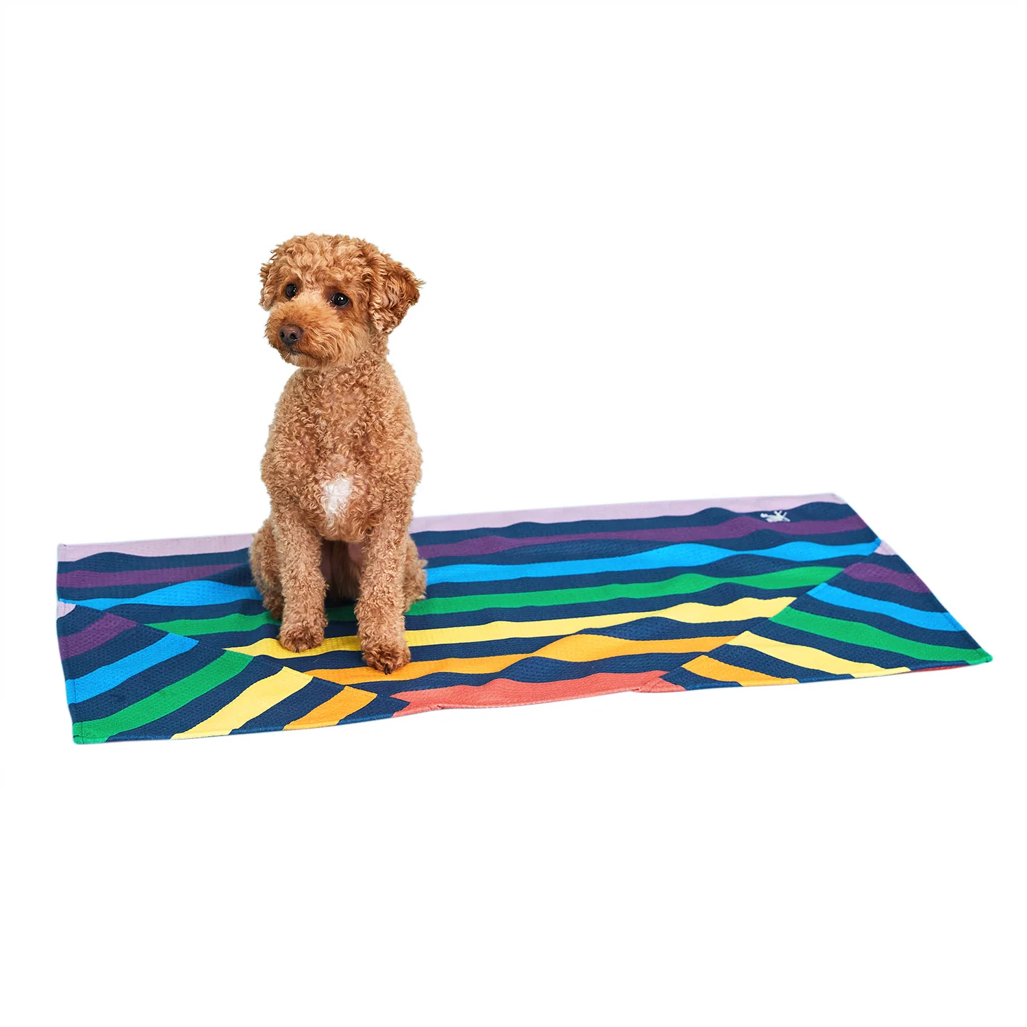 [COMBINED LISTING] Dog Towel Quick Dry - Single