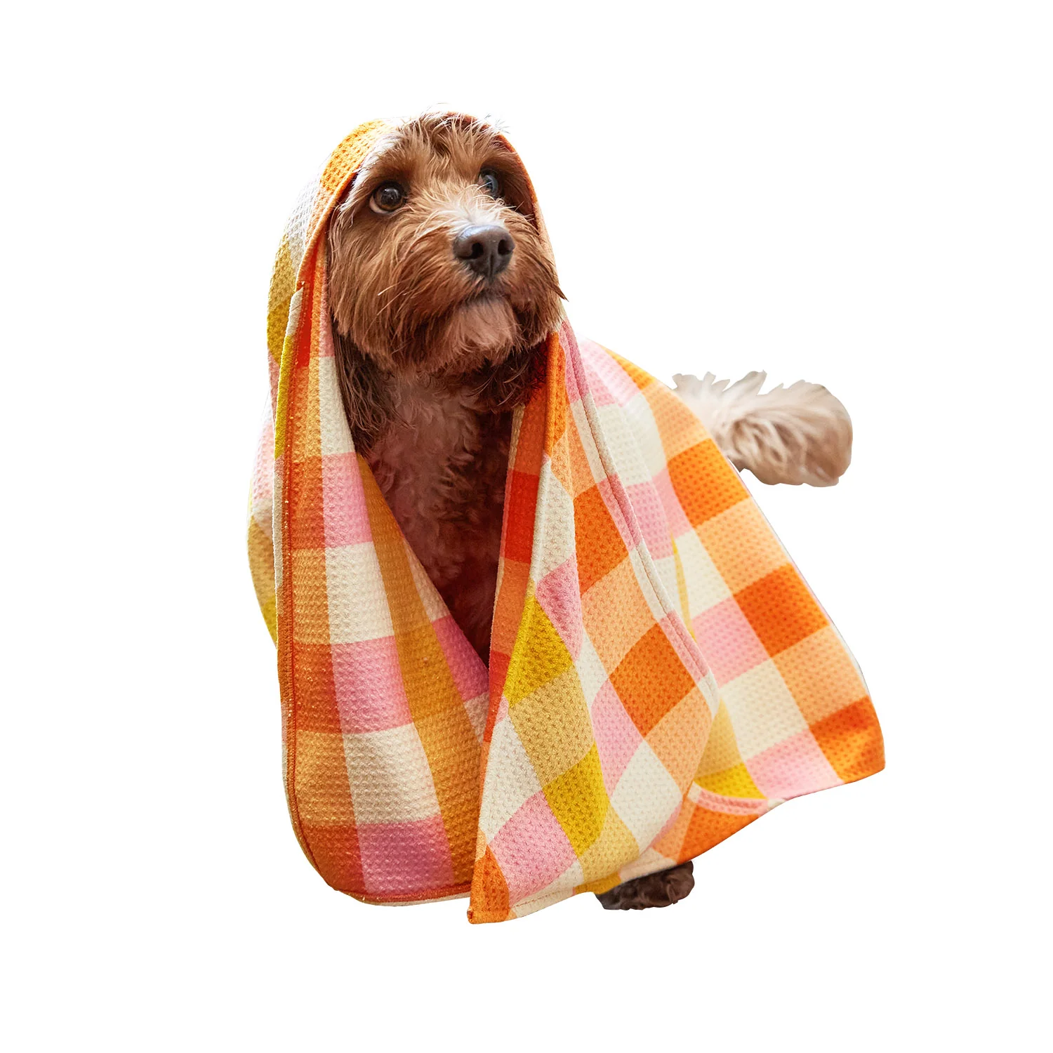[COMBINED LISTING] Dog Towel Quick Dry - Single - Image 13