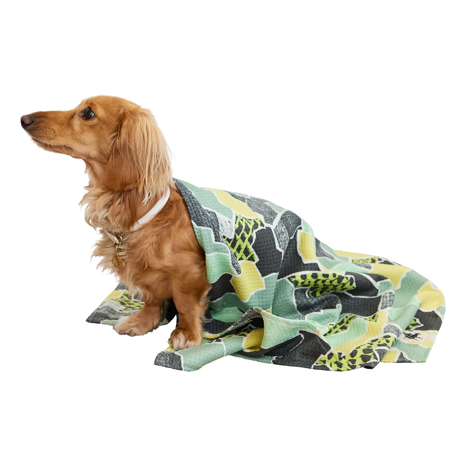 [COMBINED LISTING] Dog Towel Quick Dry - Single - Image 8