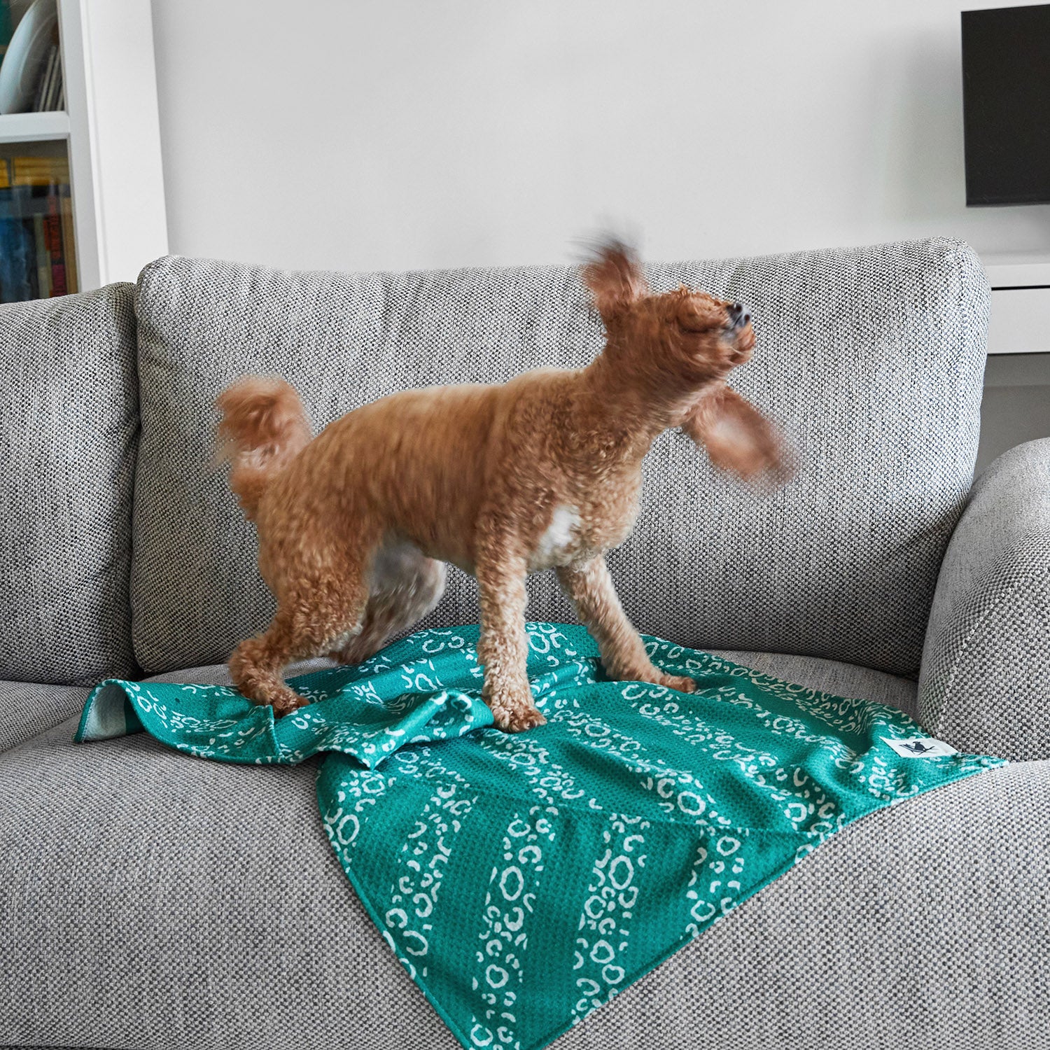 Dock & Bay Dog Towel - Woofs Go Wild - Image 10