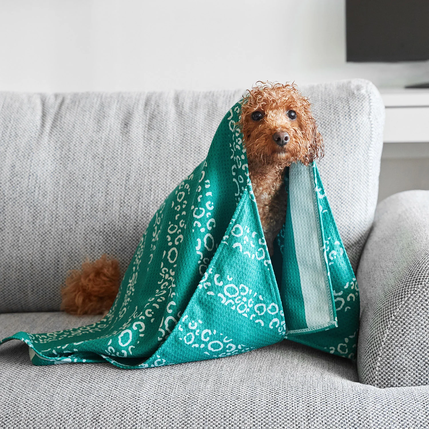 Dock & Bay Dog Towel - Woofs Go Wild - Image 3